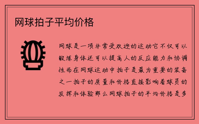 网球拍子平均价格