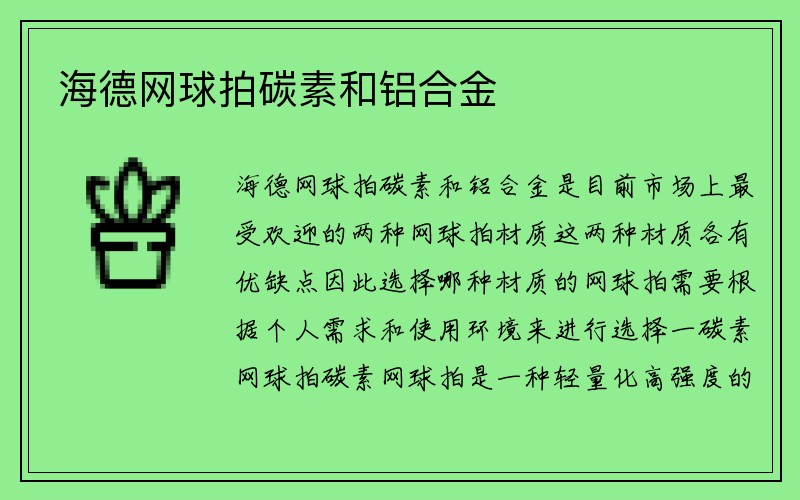 海德网球拍碳素和铝合金