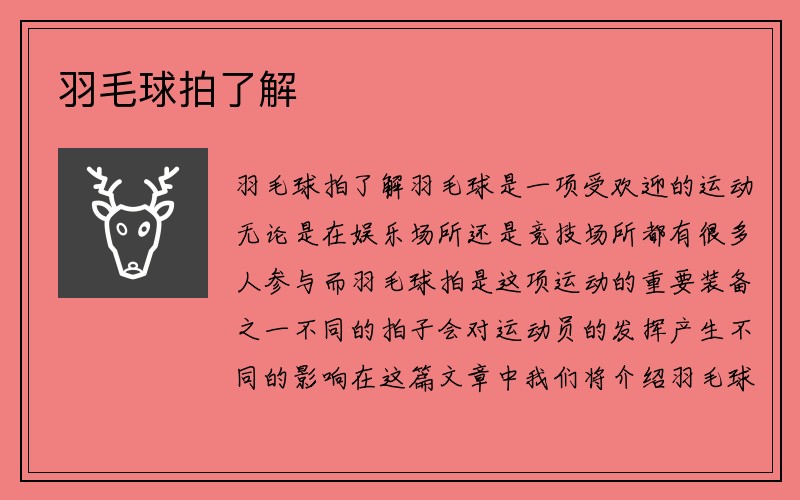 羽毛球拍了解