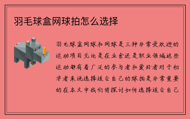 羽毛球盒网球拍怎么选择